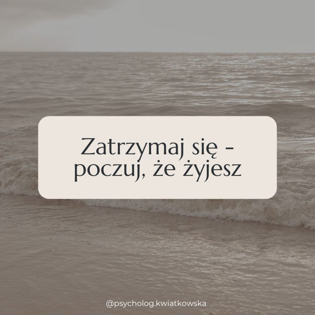 psycholog grudziądz